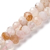 Natural Cherry Blossom Agate Beads Strands G-K380-A43-03-2
