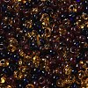 Transparent Colours Glass Seed Beads X1-SEED-P006-02A-10-3