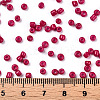 8/0 Baking Paint Glass Seed Beads SEED-R051-07B-03-5