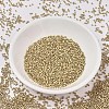 MIYUKI Delica Beads SEED-X0054-DB0334-2