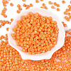 Opaque Baking Paint Glass Seed Beads SEED-T008-02F-2