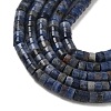 Natural Sodalite Beads Strands G-H230-10-6