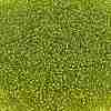 TOHO 11/0 Round Beads X-SEED-TR11-0024-2