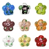 15PCS Handmade Lampwork Beads LAMP-YW0001-66A-2
