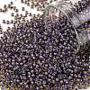 TOHO Round Seed Beads SEED-JPTR11-0926-1