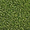12/0 Glass Seed Beads X2-SEED-A005-2mm-24-2