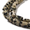 Natural Dalmatian Jasper Beads Strands G-G085-A13-01-3