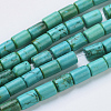 Natural Magnesite Beads Strands TURQ-K003-21D-1