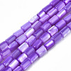 Natural Trochid Shell/Trochus Shell Beads Strands SHEL-N003-26-B02-1