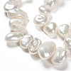 Natural Baroque Pearl Keshi Pearl Beads Strands PEAR-Q004-31-3