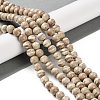 Natural Rainbow Alashan Agate Beads Strands G-NH0022-A10-02-2