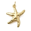 Brass Pendants KK-D431-022E-G-1