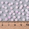 Frosted Glass Seed Beads SEED-N012-01I-4