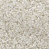 12/0 Glass Seed Beads X1-SEED-A005-2mm-21-2