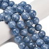 Natural Kyanite Beads Strands G-C259-B01-10mm-01-1