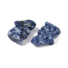 Natural Blue Spot Jasper Rabbit Display Decorations G-R007-02K-2