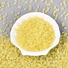 FGB Frosted Transparent Glass Seed Beads SEED-N013-06A-02-2