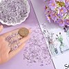 500G Natural Amethyst Chip Beads G-SP0001-09-3
