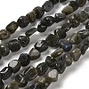 Natural Larvikite Beads Strands G-P497-01E-85-1