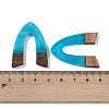 Resin & Wood Pendants WOOD-F015-16F-3