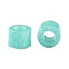 Cylinder Seed Beads SEED-H001-H03-4