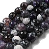 Faceted Natural Fire Crackle Agate Beads Strands G-F447-12mm-N17-2