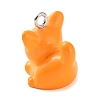 Opaque Resin Pendants LS-RESI-Z014-01E-2