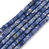 Natural Sodalite Beads Strands G-P468-19-1