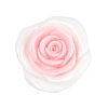 Opaque Resin Cabochons CRES-D283-01F-2