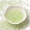 Transparent Colours Glass Seed Beads SEED-P007-02A-06-2