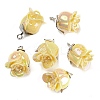 Opaque Resin Pendants RESI-K031-05A-P-1