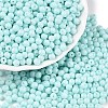Opaque Baking Paint Glass Beads DGLA-T004-03P-3