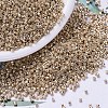 MIYUKI Delica Beads SEED-MY11-DB0411-1