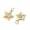 Brass Micro Pave Clear Cubic Zirconia Charms KK-F930-01G-2