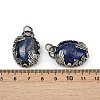 Dyed Natural Lapis Lazuli Pendants G-Z101-02AS-09-4