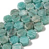 Natural Amazonite Beads Strands G-P534-A07-01-1