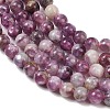 Natural Lepidolite/Purple Mica Stone Beads Strands G-G160-A01-04-5
