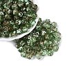 Picasso Transparent Glass Beads SEED-Q039-04E-1