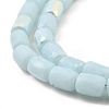 Frosted Imitation Jade Glass Beads Strands GLAA-P058-07B-13-3