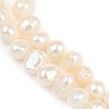 Natural Cultured Freshwater Pearl Beads Strands PEAR-P064-19D-08E-4
