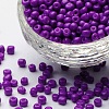 Baking Paint Glass Seed Beads SEED-S002-K11-1