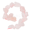 Olycraft Rough Raw Natural Rose Quartz Beads Strands G-OC0003-74-1