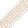 Natural Cultured Freshwater Pearl Beads Strands PEAR-N013-04B-01-1