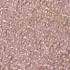TOHO 8/0 Round Beads X-SEED-TR08-0106-2