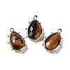 Natural Tiger Eye Pendants G-B009-02G-O-1