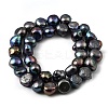 Natural Cultured Freshwater Pearl Beads Strands PEAR-P064-19L-03A-3