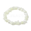 Natural Trochus Shell Chip Beaded Stretch Bracelets for Women Men BJEW-JB10549-1