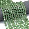 Natural Green Aventurine Beads Strands G-C116-A37-02-1