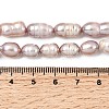Natural Cultured Freshwater Pearl Beads Strands PEAR-F020-05B-5
