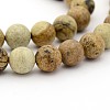 Natural Picture Jasper Round Bead Strands G-G-P070-55-8mm-1